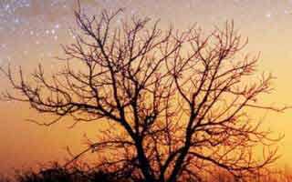 别让“内部号”把你带进坑里：谈谈澳门足球賠率的红线：看似小事，其实是关键