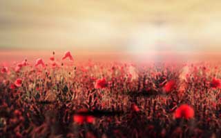 我当场沉默了，爱游戏官方网站这事真的不能图快，学会这一点就够了：10秒快速避坑