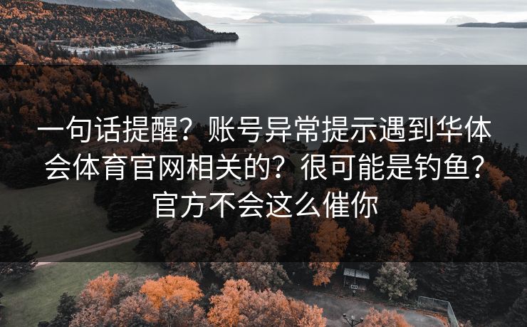 一句话提醒？账号异常提示遇到华体会体育官网相关的？很可能是钓鱼？官方不会这么催你