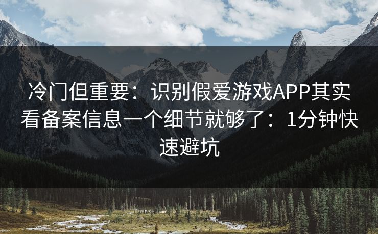 冷门但重要：识别假爱游戏APP其实看备案信息一个细节就够了：1分钟快速避坑
