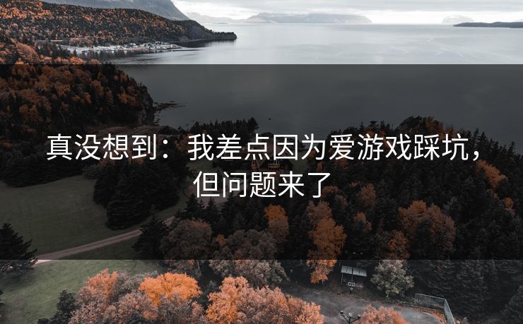 真没想到：我差点因为爱游戏踩坑，但问题来了